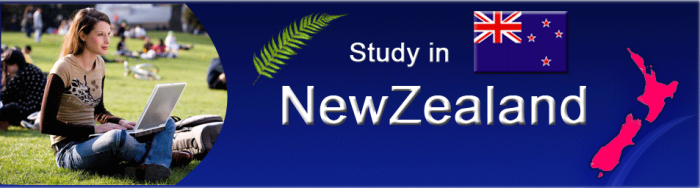 study-in-neziland-